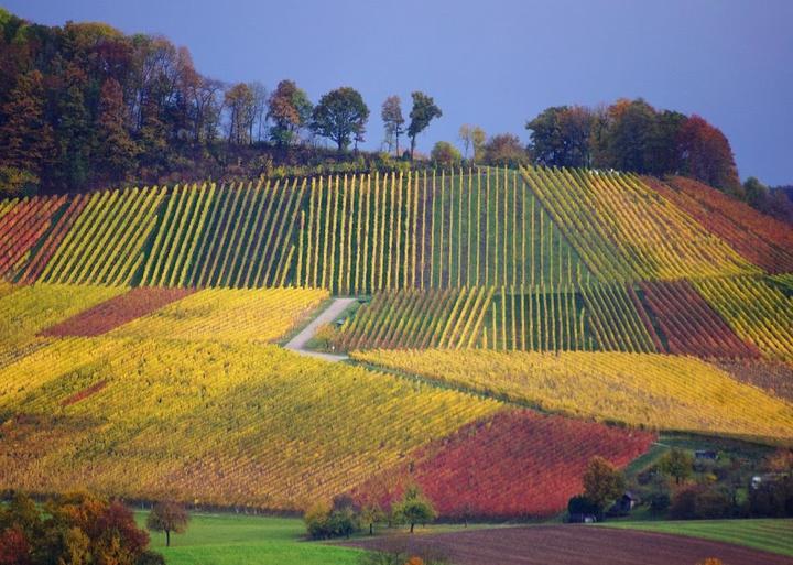 Weinstube Weihbrecht